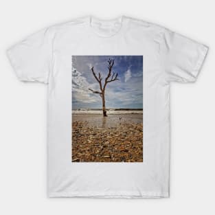 Edisto Beach South Carolina T-Shirt